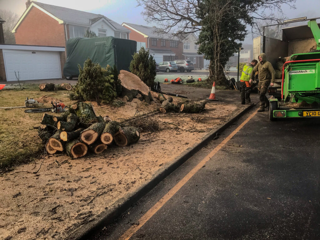 Tree Surgeons In The West Midlands
